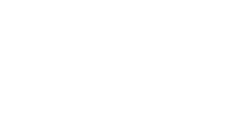 Jamin Properties